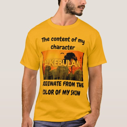 肌の色 Tシャツ (正面)