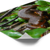 肌の荒いニワトリ ポスター (角)