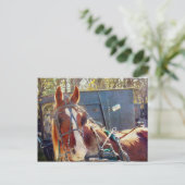 肌寒い朝の羊毛の馬 ポストカード (スタンド正面)