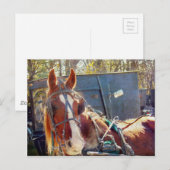 肌寒い朝の羊毛の馬 ポストカード (正面/裏面)