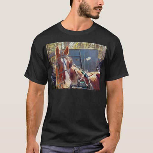 肌寒い朝の羊毛の馬 Tシャツ (正面)