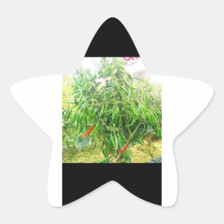 肌寒い：おいしいスプレッドおいしい物。 星シール