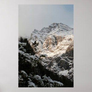 肖像イラストデザイン ポスター