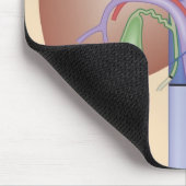 肝移植手術 マウスパッド (コーナー)