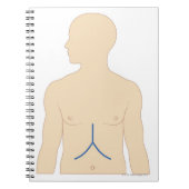 肝移植 ノートブック (正面)