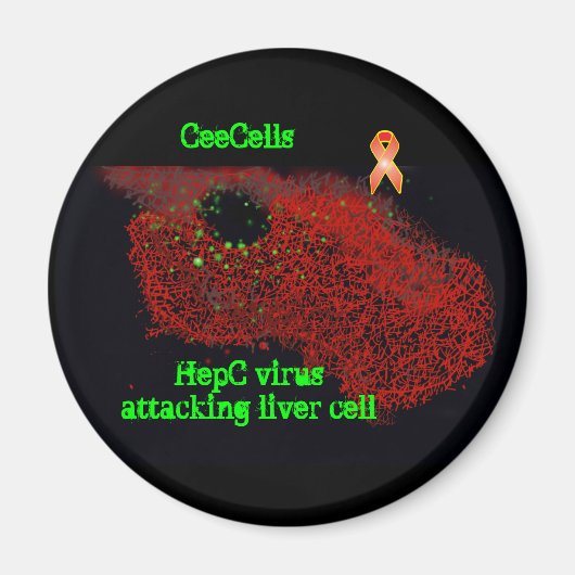 肝細胞を攻撃するHepCウイルス マグネット (正面)