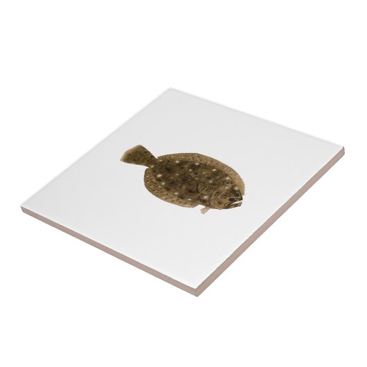 肝蛭-夏もがき タイル (側面)