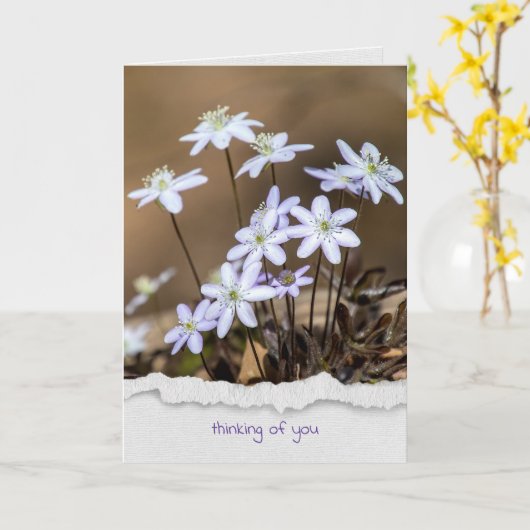 肝野考える花 カード (黄色い花)