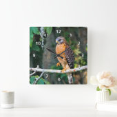 肢の時計の赤背負われたタカ スクエア壁時計 (ホーム)