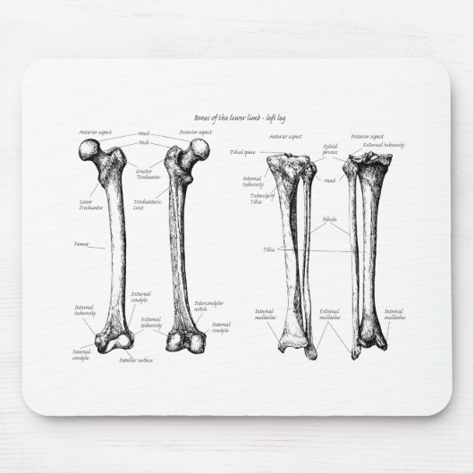 肢の灰色を下げて下さい マウスパッド (正面)