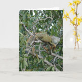 肢カードで カード (黄色い花)