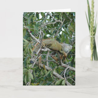 肢カードで カード