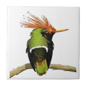 肢 タイル (正面)