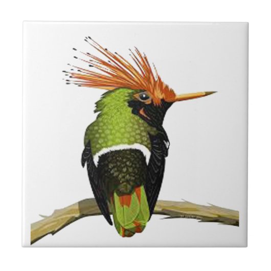 肢 タイル (正面)