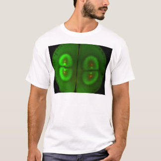 肥やされたカエルの卵 Tシャツ