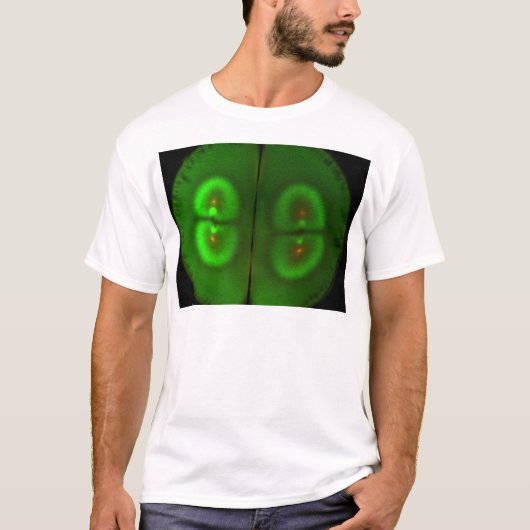 肥やされたカエルの卵 Tシャツ (正面)