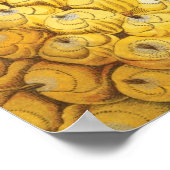 肥大パイナップル ポスター (角)