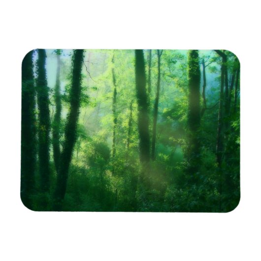 肥沃度可撓磁石 マグネット (横)