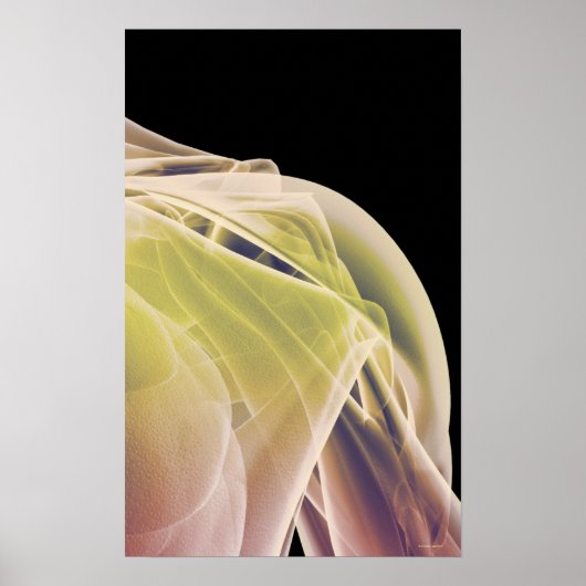 肩の筋肉4 ポスター (正面)