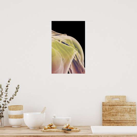 肩の筋肉4 ポスター (キッチン)