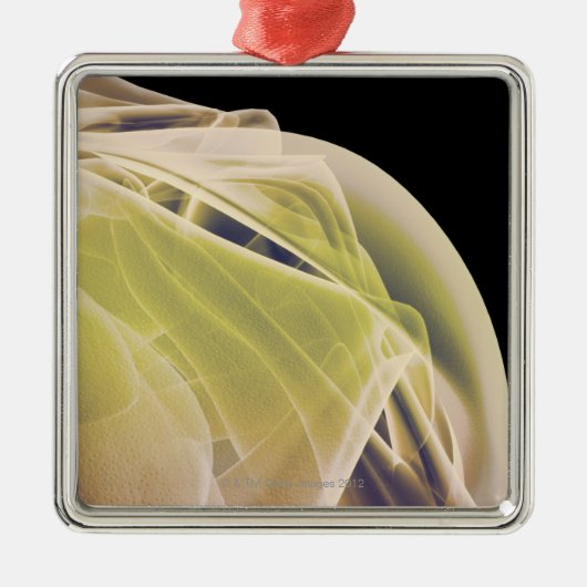 肩の筋肉 メタルオーナメント (正面)