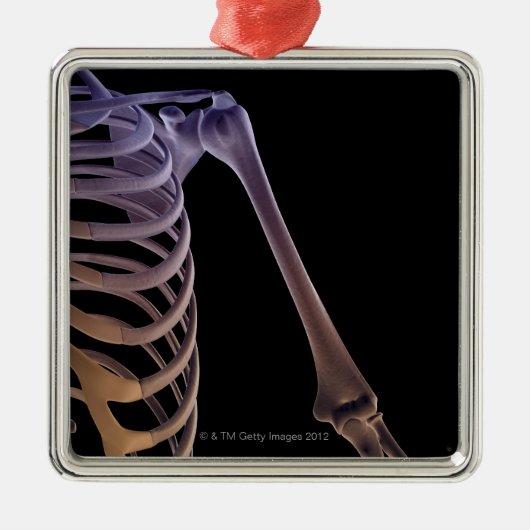 肩の骨 メタルオーナメント (正面)