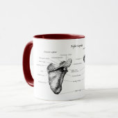 肩甲骨の詳細 マグカップ (正面左)