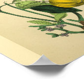 肩腕の筋肉の解剖学アートプリント ポスター (角)