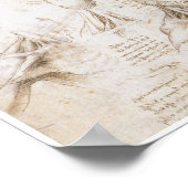 肩部の解剖学、レオナルド・ダ・ヴィンチ ポスター (角)