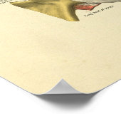 肩関節解剖骨プリント ポスター (角)