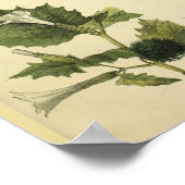 肩関節鎖骨解剖学アートヴィンテージプリント ポスター (角)