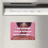 肯定前向き磁石 マグネット (インサイチュ (食洗機))