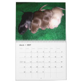 育つ4つのベビーのネズミ カレンダー (3月 2027)