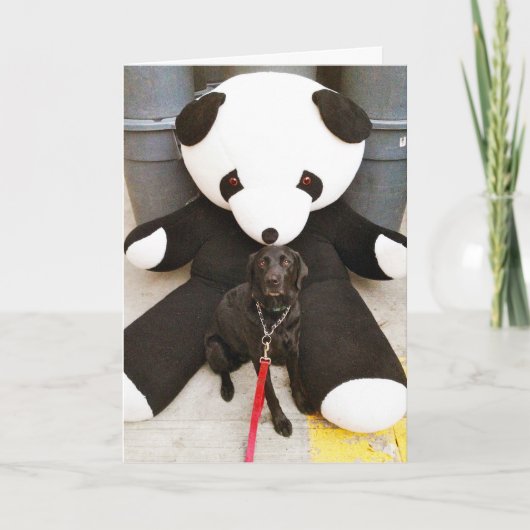 育てていない自然 カード (正面)