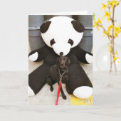 育てていない自然 カード (黄色い花)