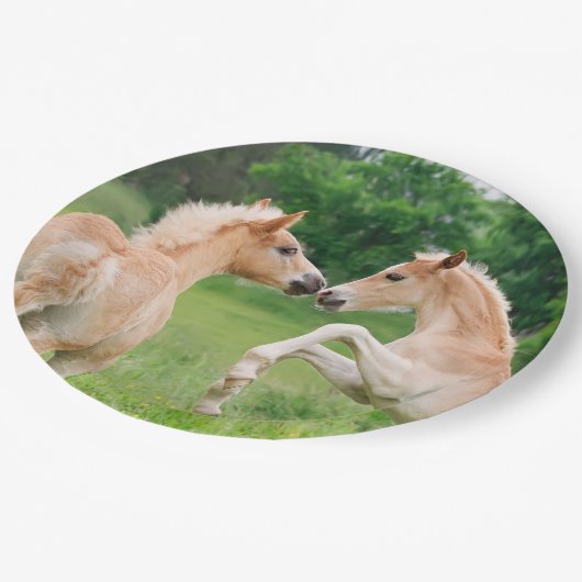 育てているHaflingerの馬のかわいい子馬幸せなパーティー ペーパープレート (アングル)
