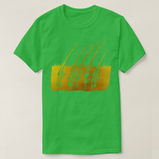 育毛ステージ4 Tシャツ (デザイン正面)