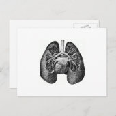 肺とハート ポストカード (正面/裏面)