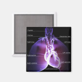 肺の構造ハート マグネット (正面/裏面)