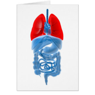 肺を有する内臓のX線画像