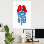 肺を有する内臓のX線画像 ポスター (ホームオフィス)