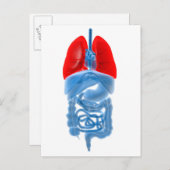 肺を有する内臓のX線画像 ポストカード (正面/裏面)