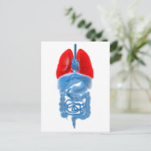 肺を有する内臓のX線画像 ポストカード (スタンド正面)