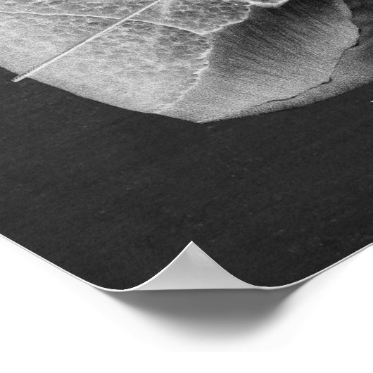 肺ハート前視 ポスター (角)