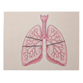 肺図 ノートパッド (正面)