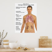 肺外結核チャートの主な症状 ポスター (キッチン)