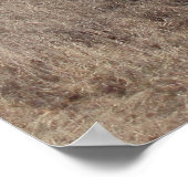 肺気量 ポスター (角)