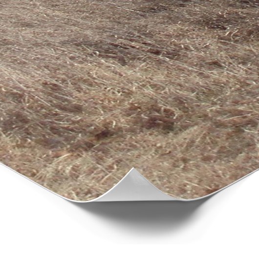 肺気量 ポスター (角)