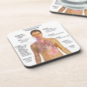 肺炎の徴候の図表 コースター (左側)