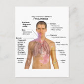 肺炎の症状表 ポストカード (正面)